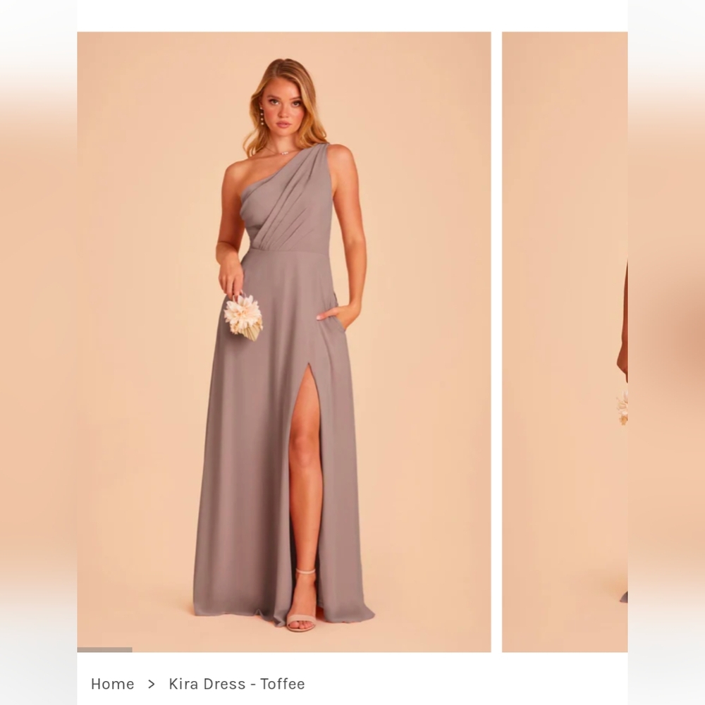 Birdy Grey - Kira Dress - Chiffon Toffee